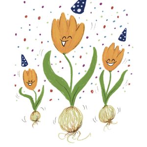 Nieuwe collectie : tulpenbol wenskaart
