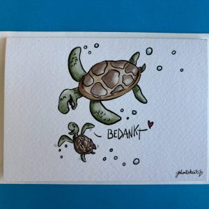 Schildpadjes - wenskaart
